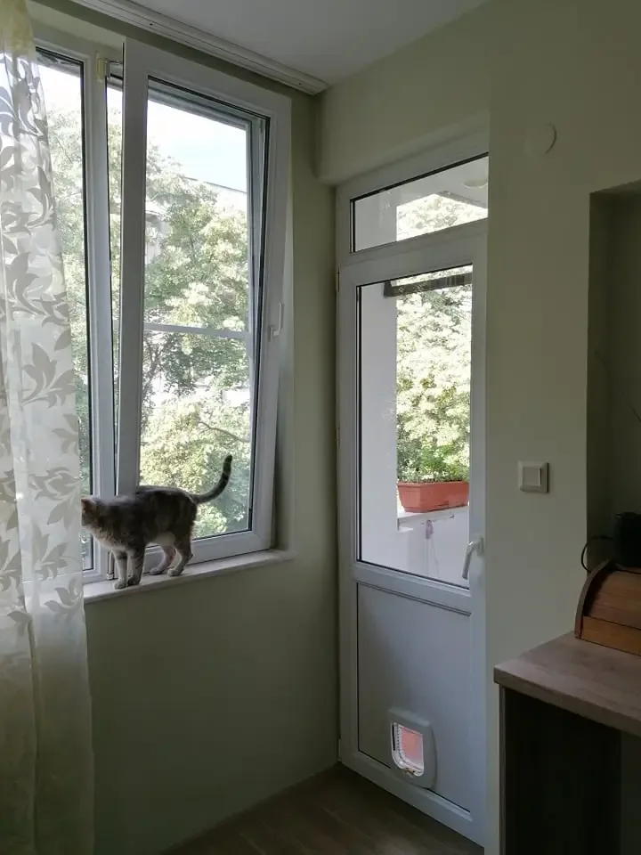 Снимка към отзива на Живко Данев